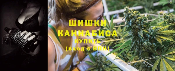 дживик Белокуриха